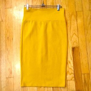 Fitted Pencil Skirt with tags.